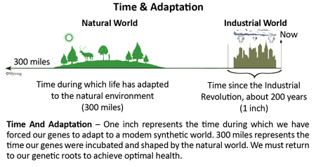 Time and Adaptation